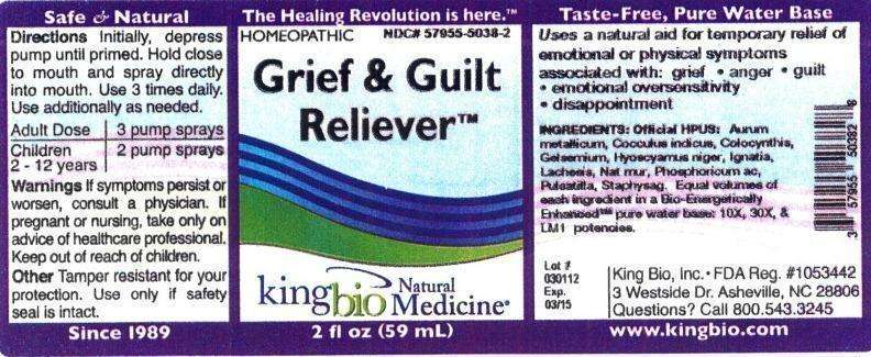 Grief and Guilt Reliever